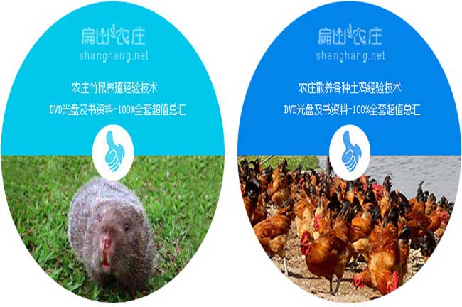 土雞標(biāo)志應(yīng)用