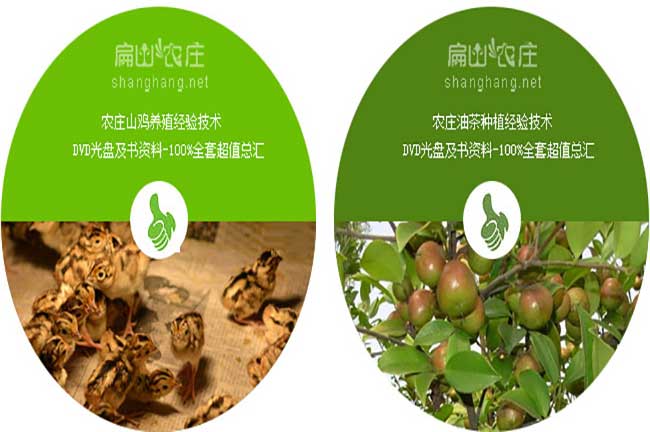 扁山農(nóng)莊油茶標(biāo)志應(yīng)用