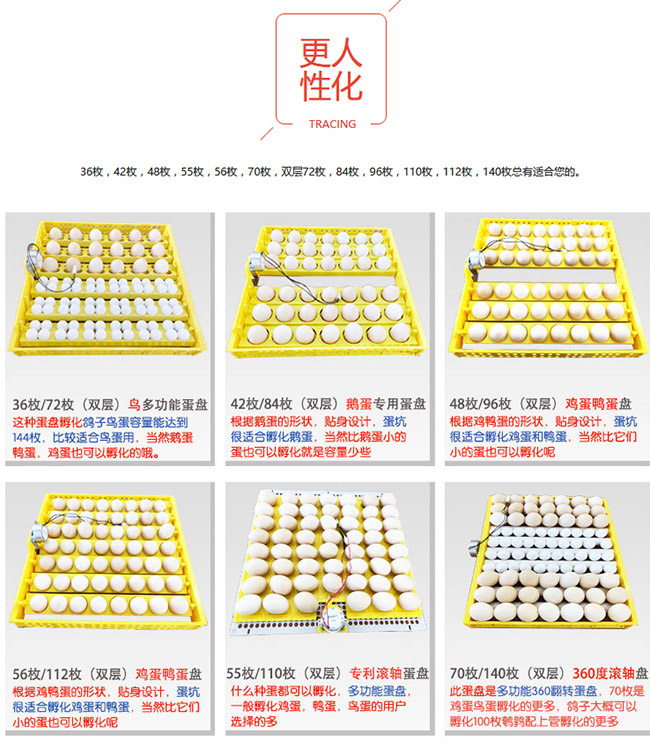 鳥(niǎo)蛋家用孵化機(jī)