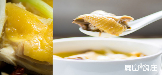 美味營(yíng)養(yǎng)的正貨河田雞 美味營(yíng)養(yǎng)的正貨河田雞