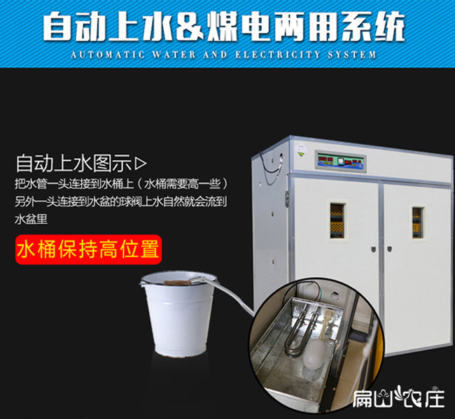 龍巖大型雞苗孵化設(shè)備 龍巖大型雞苗孵化設(shè)備