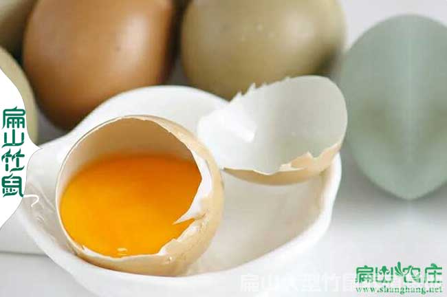 廣元土雞苗批發(fā)