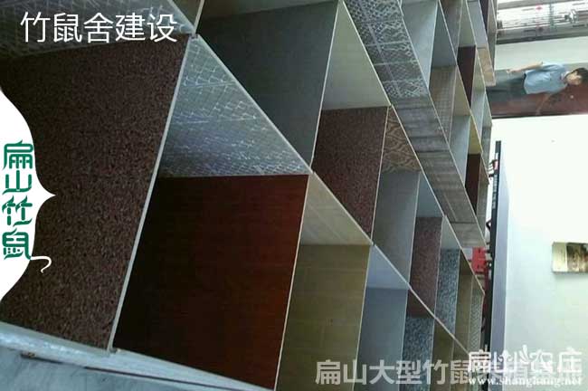瓷磚養(yǎng)殖竹鼠池的建造標(biāo)準(zhǔn)