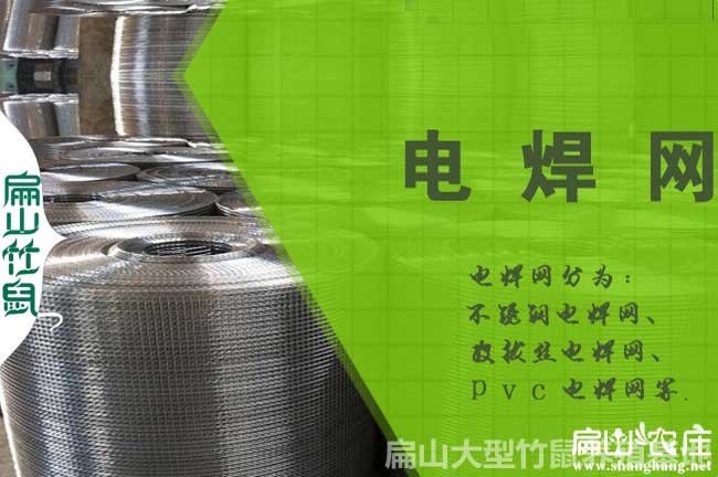 竹鼠常用鋼網(wǎng)