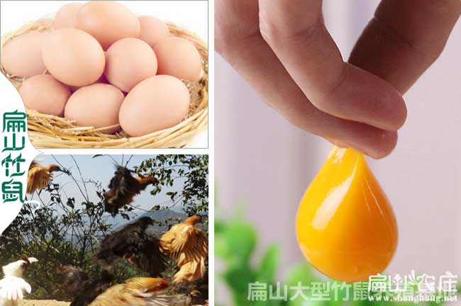 增加產(chǎn)蛋方法