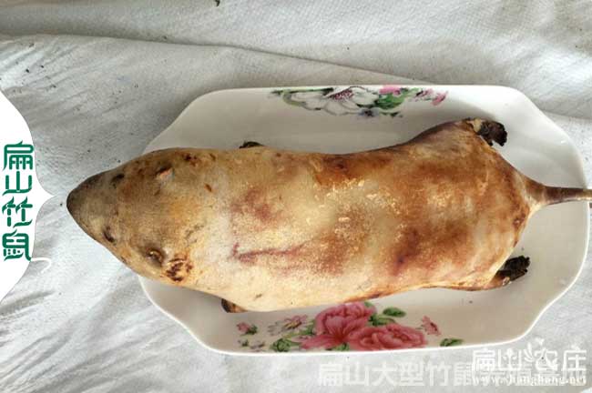 梧州竹鼠批發(fā)