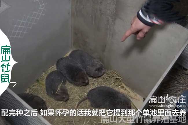 張家界養(yǎng)殖網(wǎng)