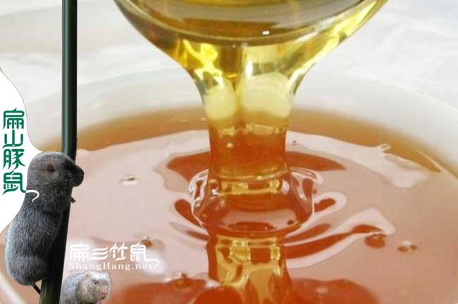 阜陽(yáng)蜜蜂養(yǎng)殖