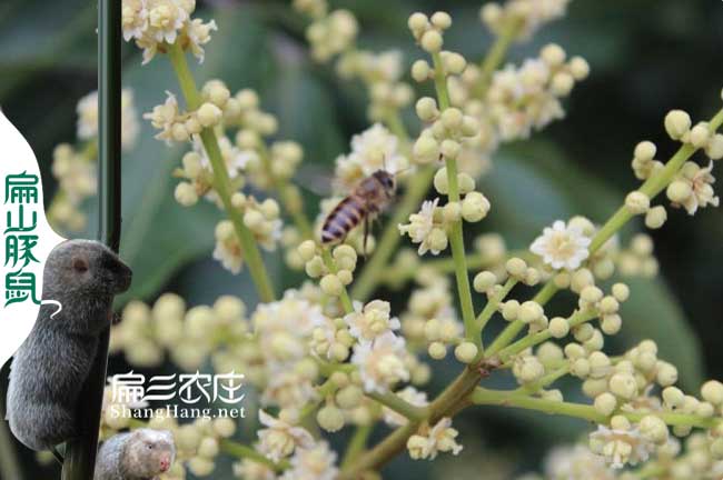 江西粉源技術(shù)