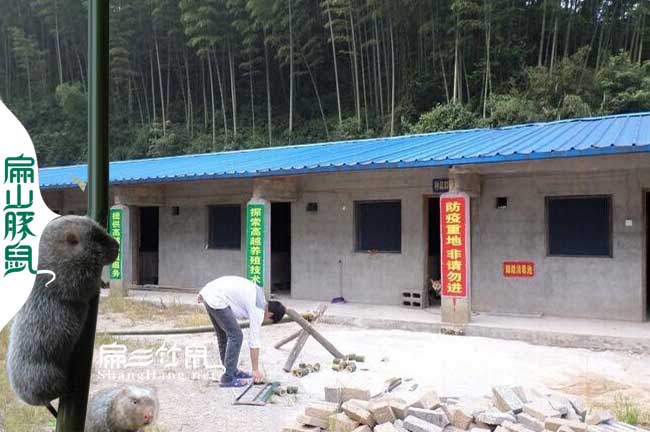 福建指數(shù)養(yǎng)殖基地