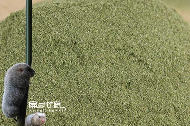 中國(guó)竹鼠專用食療