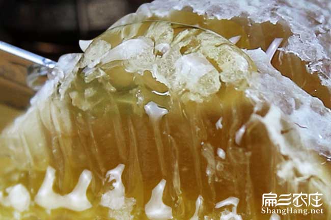 汕頭格子蜜批發(fā) 汕頭格子蜜批發(fā)