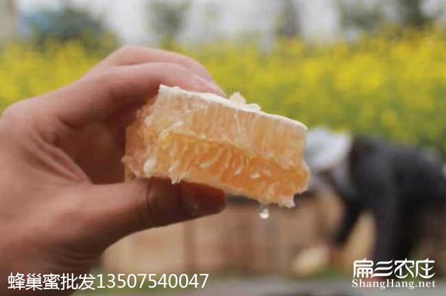中山蜂蜜批發(fā) 中山蜂蜜批發(fā)