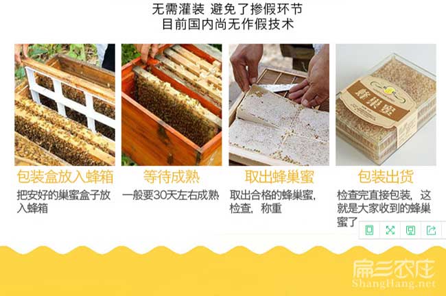 潼關(guān)縣茶樹(shù)苗的物理特 潼關(guān)縣茶樹(shù)苗的物理特