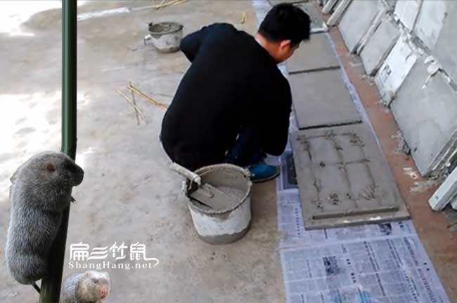 惠州竹鼠舍建造