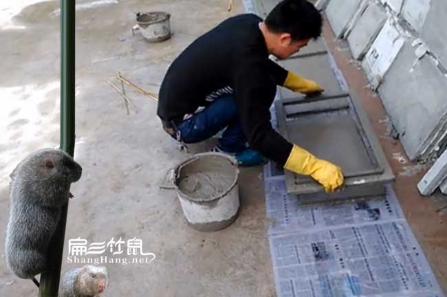 竹鼠水泥池子做法