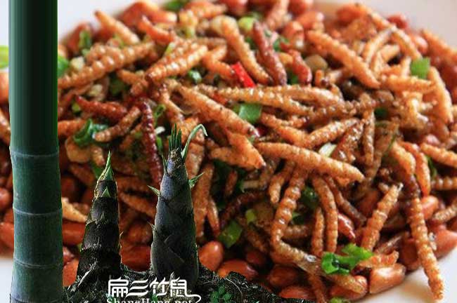 廣西竹蟲(chóng)養(yǎng)殖培訓(xùn)基地