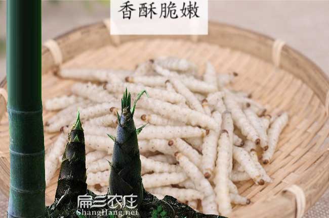 竹蟲(chóng)價(jià)格