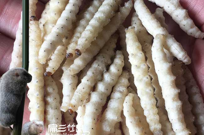 小圍寨油茶種植的土質 小圍寨油茶種植的土質