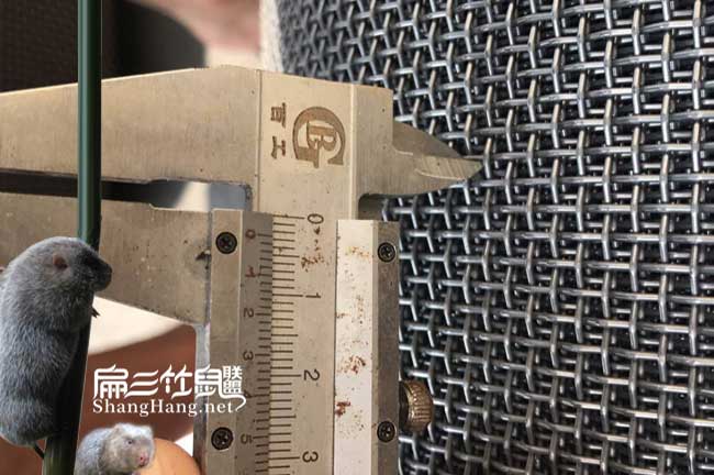 廣西竹鼠養(yǎng)殖鐵絲網