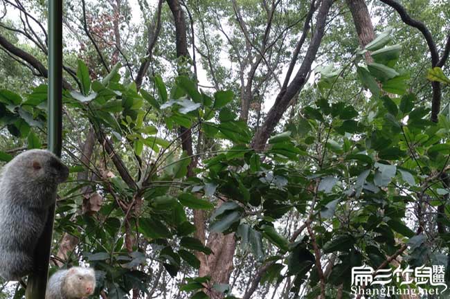和你們上機(jī)縣扁山農(nóng)業(yè) 和你們上機(jī)縣扁山農(nóng)業(yè)