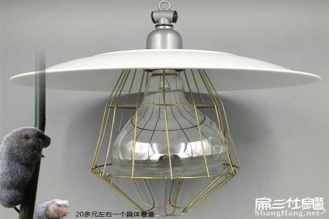 竹鼠保溫?zé)? title=