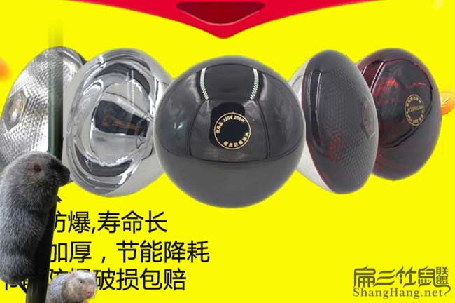 竹鼠養(yǎng)殖保溫?zé)粼O(shè)備