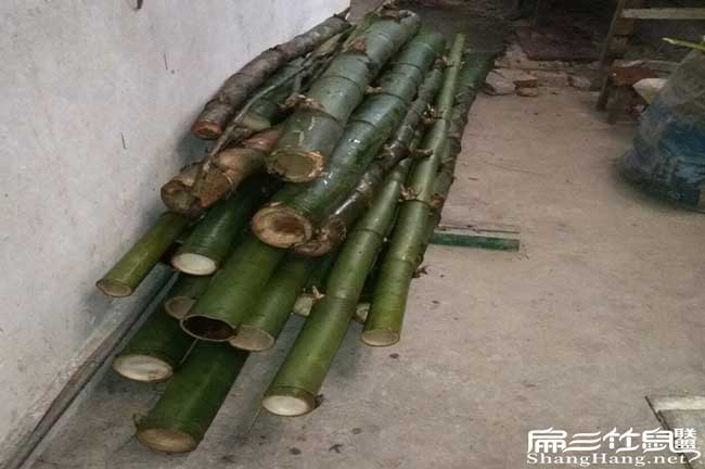 陽朔竹鼠養(yǎng)殖技術(shù)