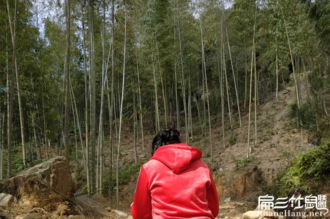 如果您在曲江區(qū)養(yǎng)鼠擔(dān)