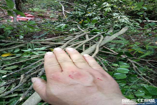 田乾相對南方地區(qū)來說 田乾相對南方地區(qū)來說
