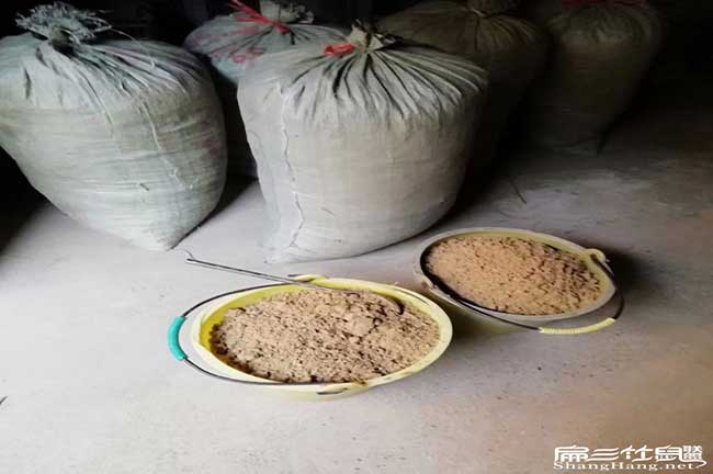 福建竹鼠養(yǎng)殖
