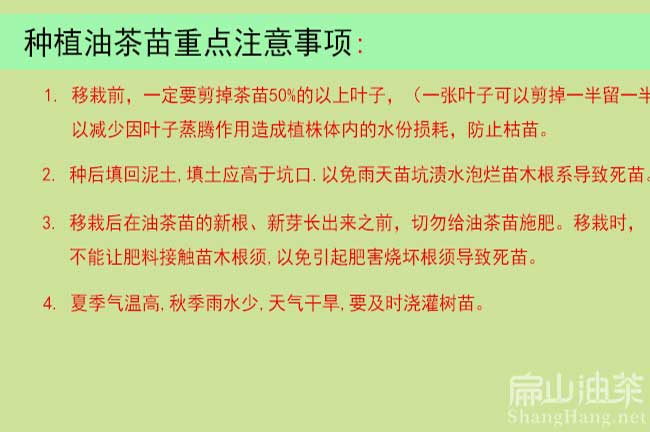 南寧油茶管理技術(shù)