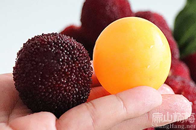 S商洛楊梅苗批發(fā)貨到洛南丹鳳商南山陽鎮(zhèn)安柞水縣-扁山楊梅