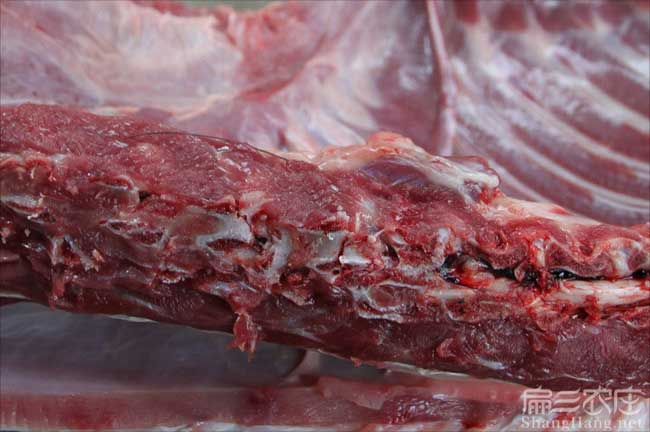 吉安肉兔肉批發(fā)