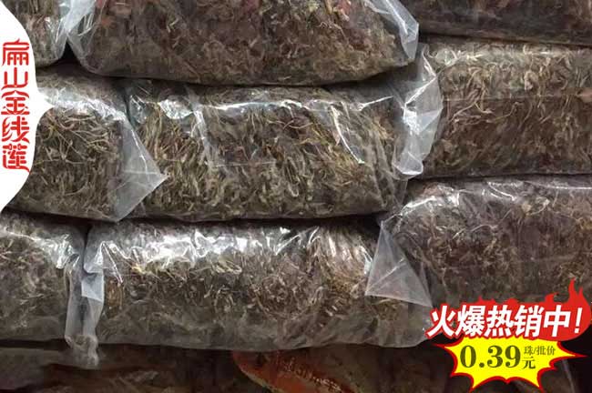 閩南閩西閩北閩東金線蓮種苗培育標準基地 福建干貨批發(fā)80元