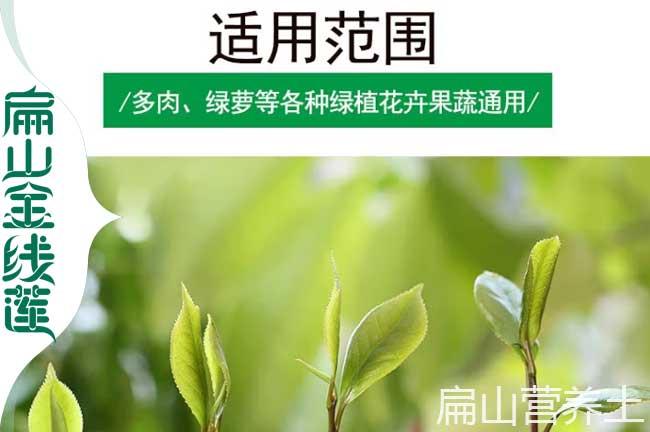 萍鄉(xiāng)營(yíng)養(yǎng)土