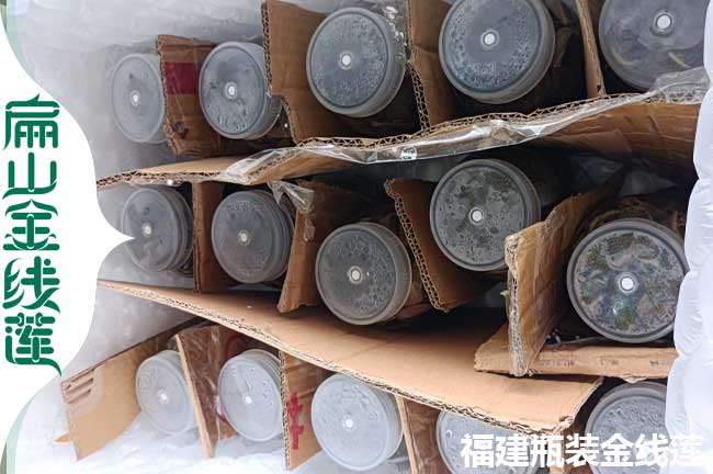 太倉(cāng)金線(xiàn)蓮發(fā)貨