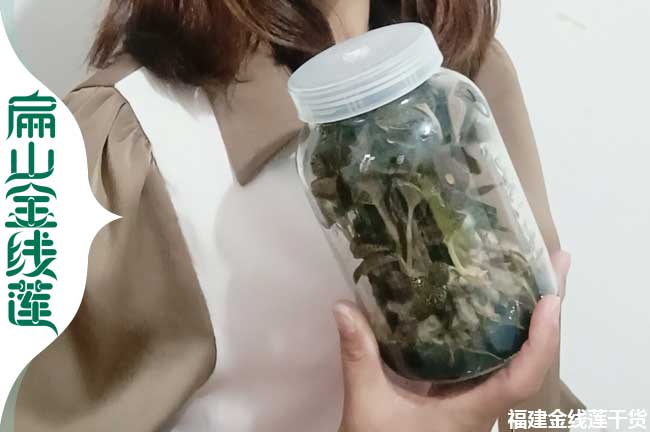 張家港金線(xiàn)蓮種苗批發(fā)