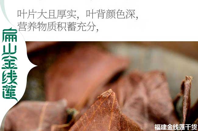 達(dá)州金線(xiàn)蓮瓶裝苗