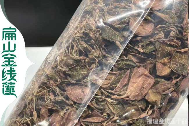 廣元金線蓮干品價(jià)錢