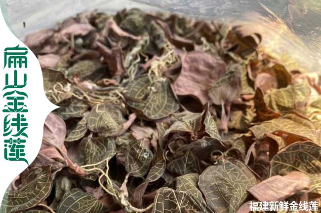陽(yáng)泉金線蓮紅霞干貨