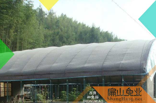 曹溪竹鼠養(yǎng)殖場