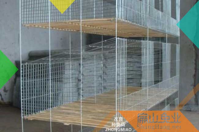 福建兔籠批發(fā)