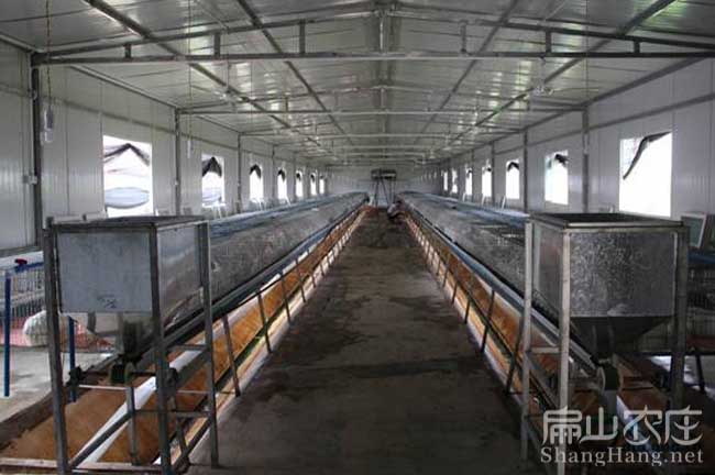 大型竹鼠養(yǎng)殖場
