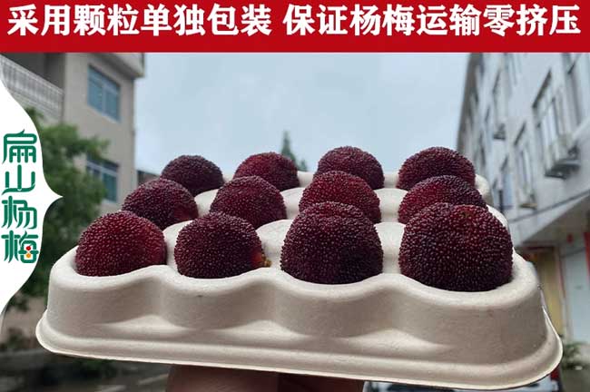 珠海楊梅批發(fā)