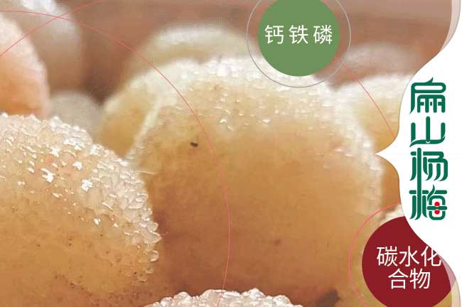 小杯楊梅鷹潭種苗 鷹潭楊梅苗培育規(guī)?；a(chǎn)基地9元/珠