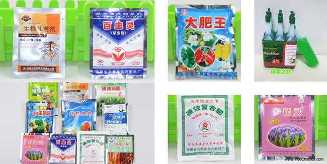 天門茶油在國外受歡迎 天門茶油在國外受歡迎