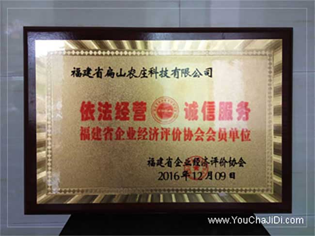 云梯油茶苗的整形修剪 云梯油茶苗的整形修剪
