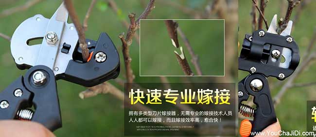 八義集鎮(zhèn)中國人喜歡喜 八義集鎮(zhèn)中國人喜歡喜