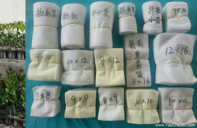 □ 前鋒鎮(zhèn)哪個(gè)省份的 □ 前鋒鎮(zhèn)哪個(gè)省份的